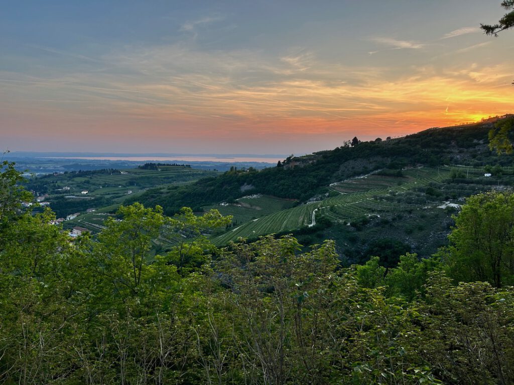 Vista vigneti Valpolicella al tramonto
