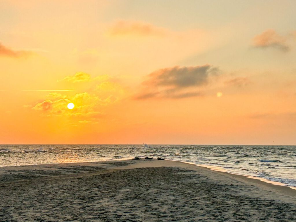 Grenen, dove si scontrano i 2 mari.
