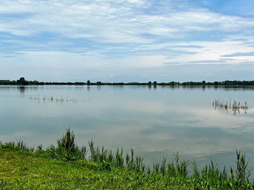 Vista sulle Valli di Argenta.