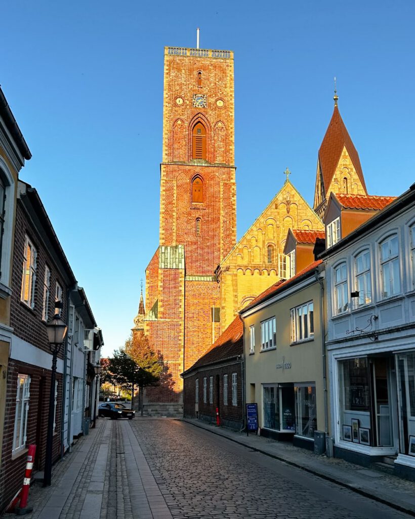 La torre della cattedrale e le vie del centro città.