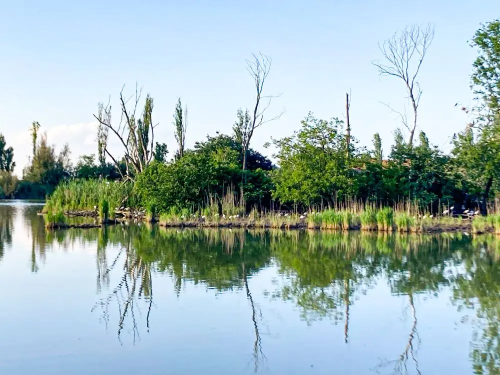 Vista sulle vallette di Ostellato nel Parco del Delta del Po.