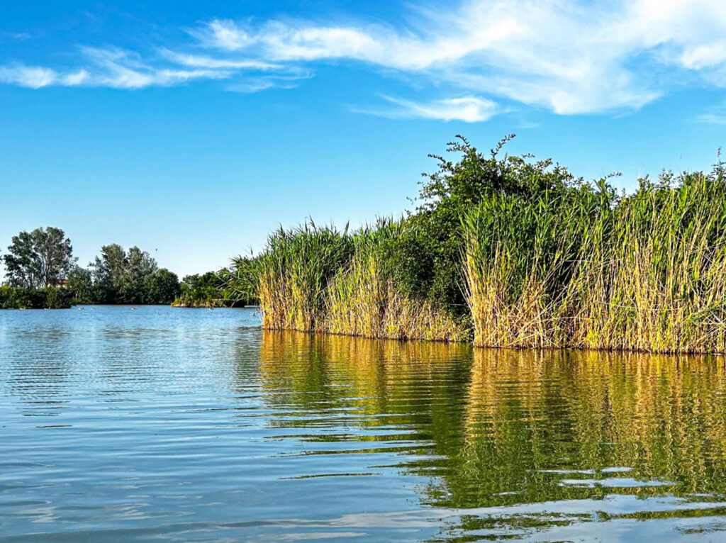Nel Parco del Delta del Po tra terra e acqua.